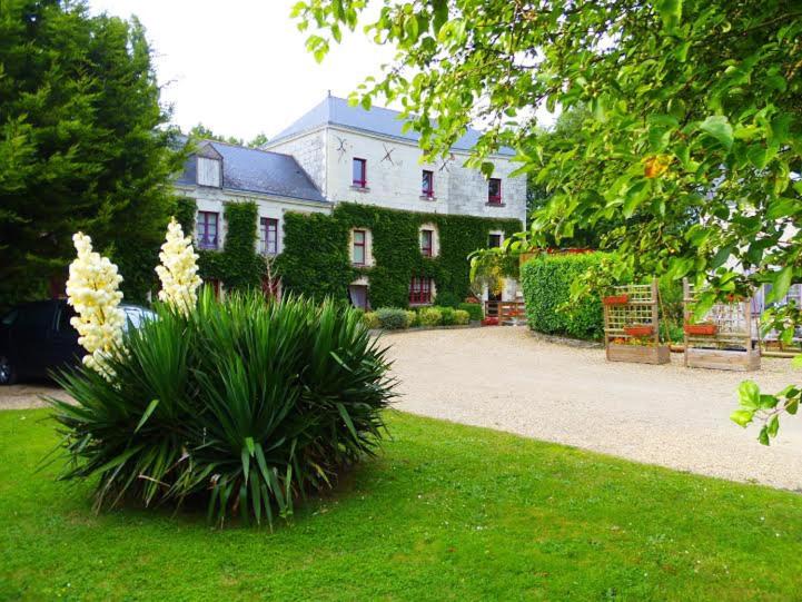 Photo of Others in Saint-Melaine-sur-Aubance