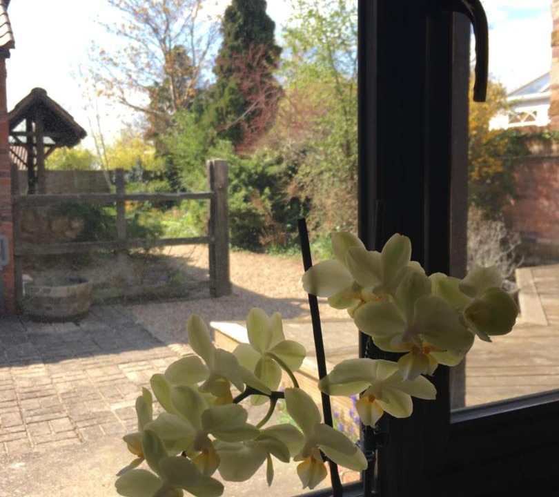 Photo of Others in Stathern