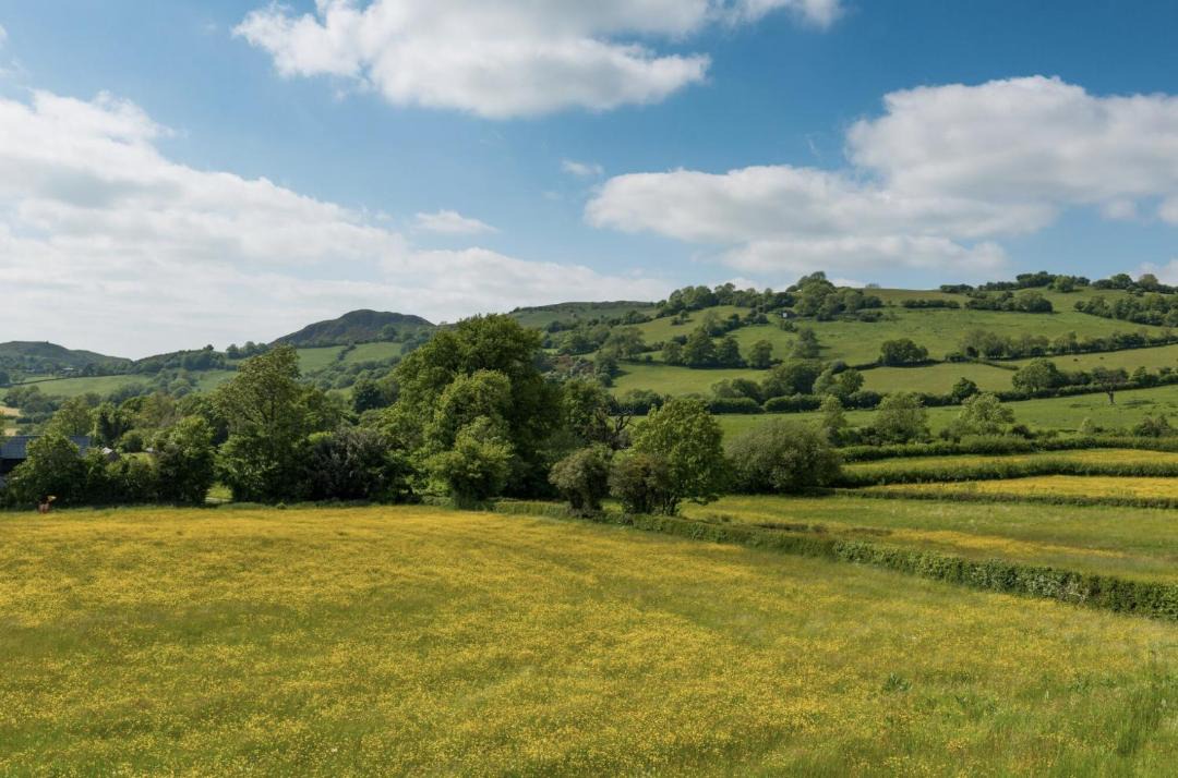 Photo of Others in Hyssington