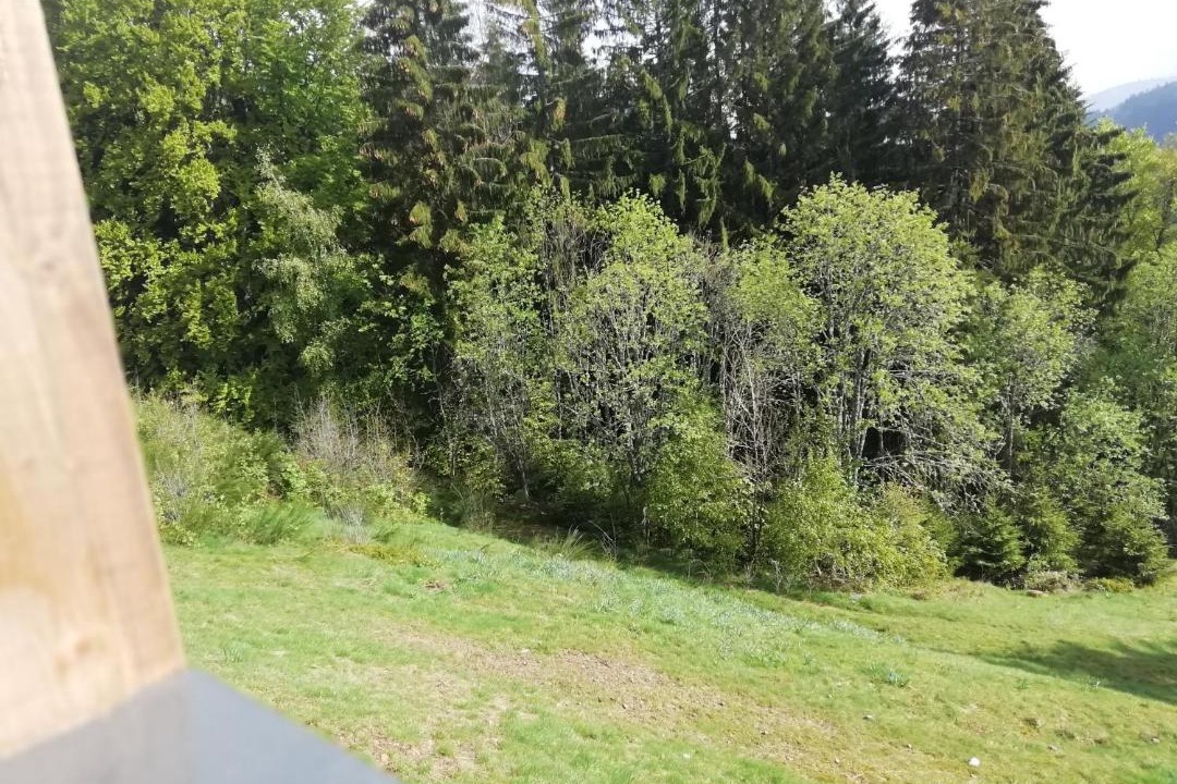 Photo of Outdoor in Gerardmer