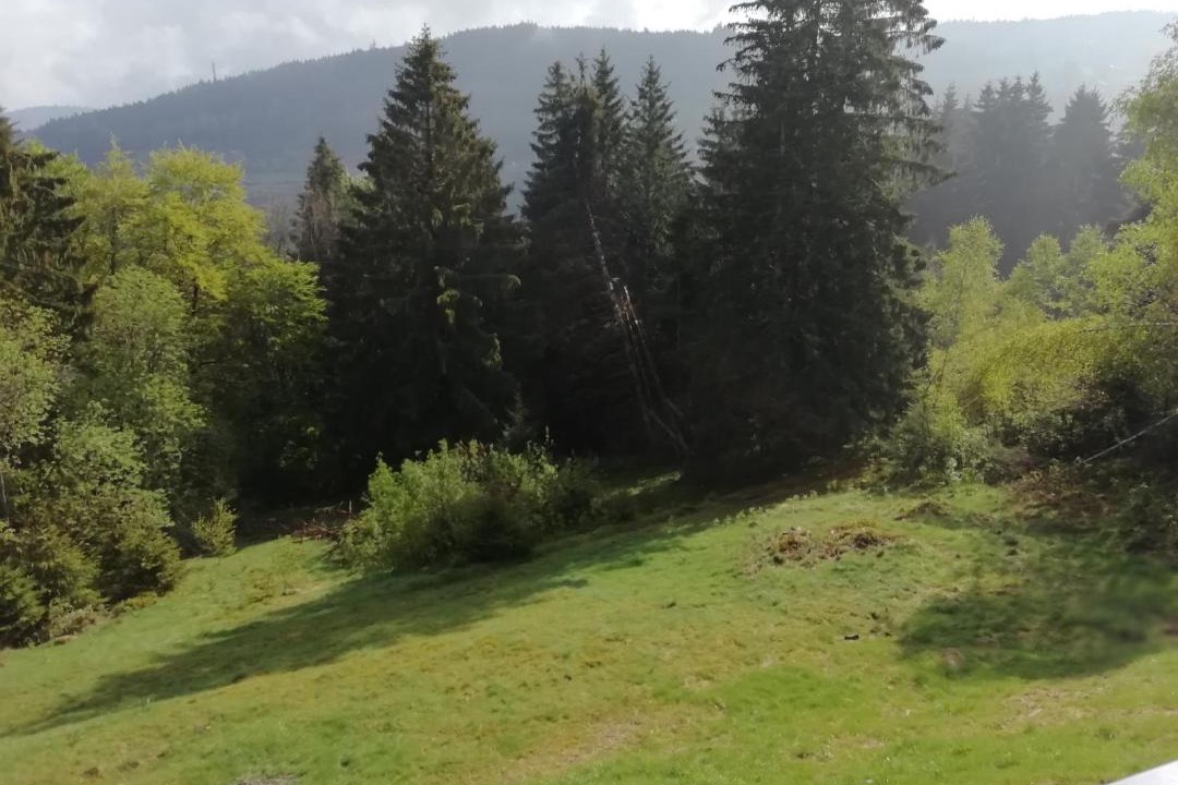 Photo of Outdoor in Gerardmer