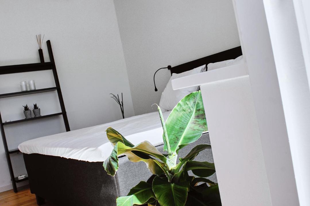 Photo of Bedroom in Faxe Ladeplads
