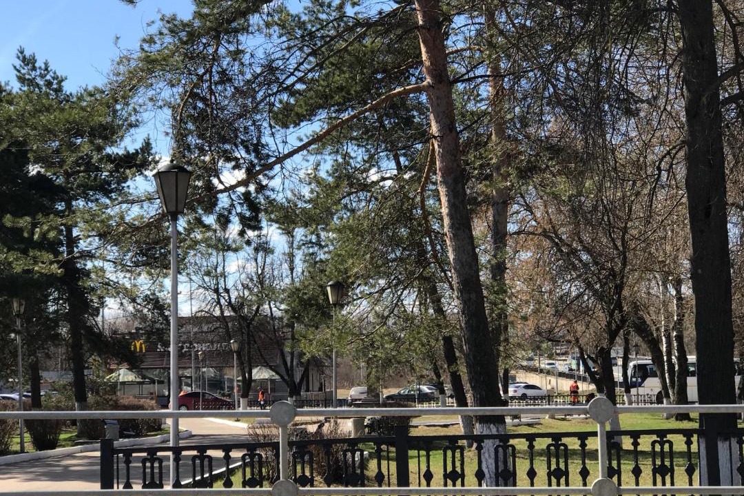 Photo of Buildings in Chekhov