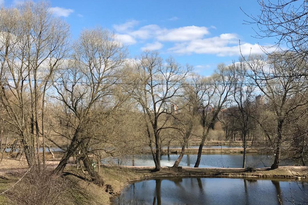 Photo of Outdoor in Chekhov