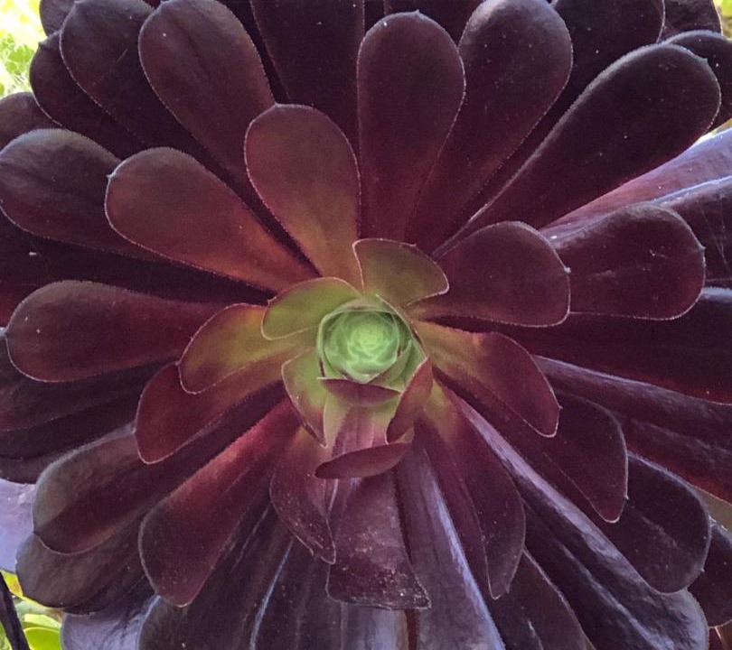 Photo of Others in Munras Avenue