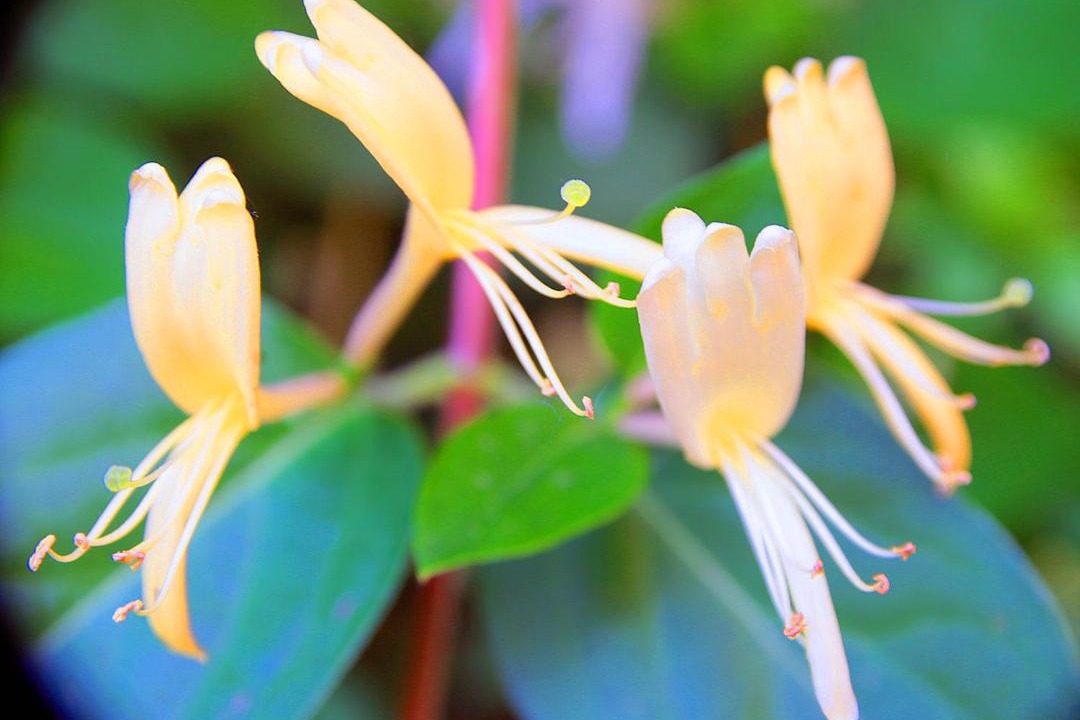 Photo of Others in La Rochefoucauld