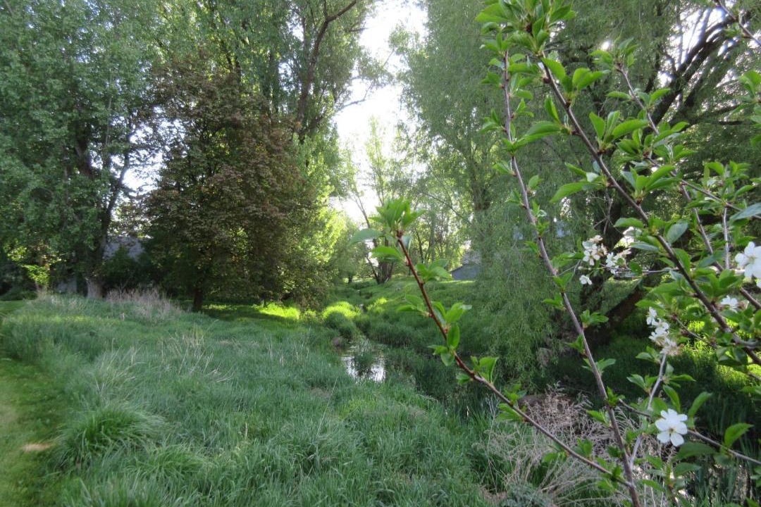 Photo of Others in Wilbur