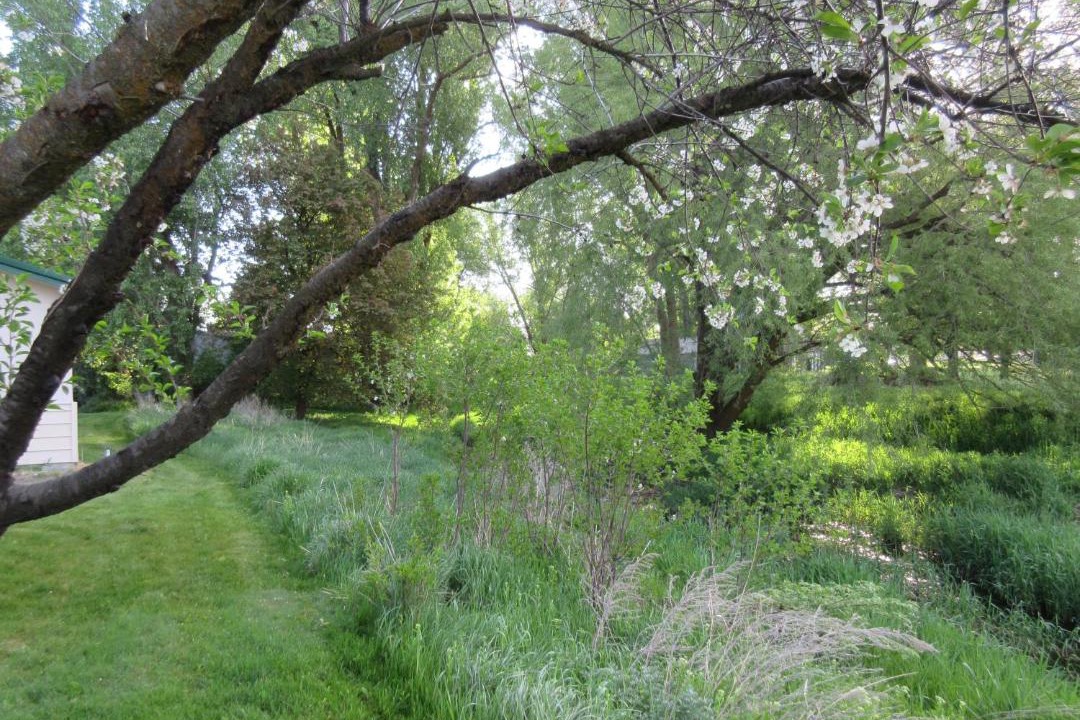 Photo of Others in Wilbur