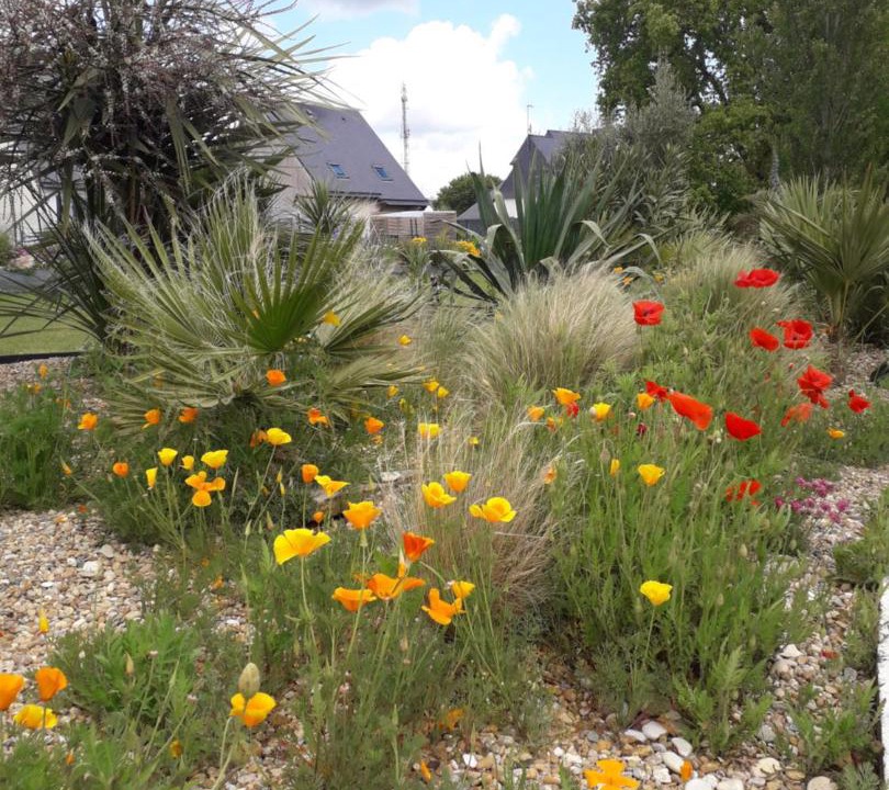 Photo of Outdoor in Riantec