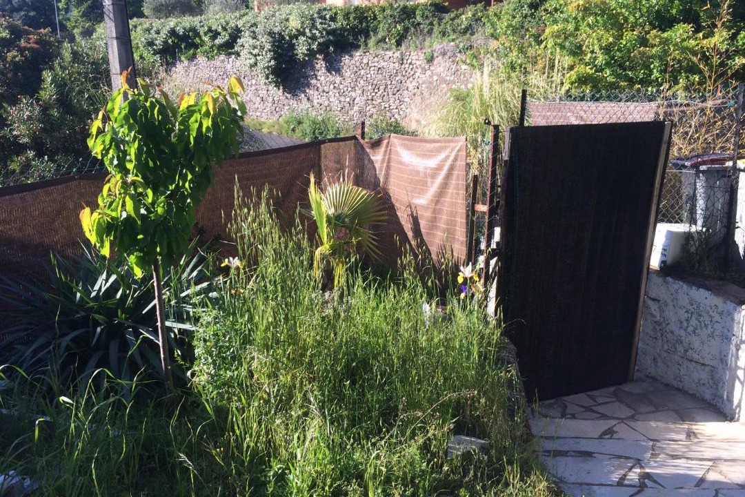 Photo of Buildings in Bedarieux
