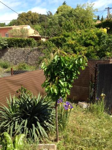 Photo of Others in Bedarieux