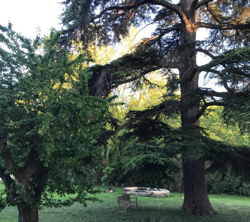 Photo of Others in Chalabre