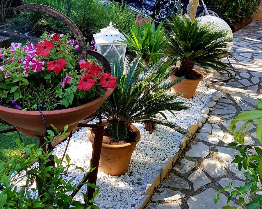 Photo of Others in Port Cogolin