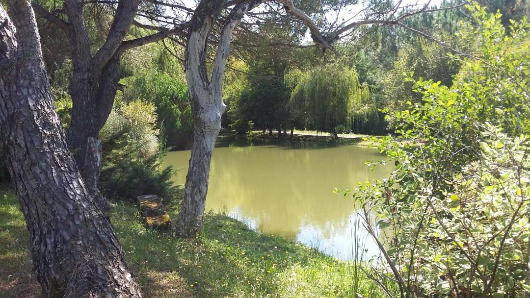 Photo of Others in Saint-Bonnet-sur-Gironde