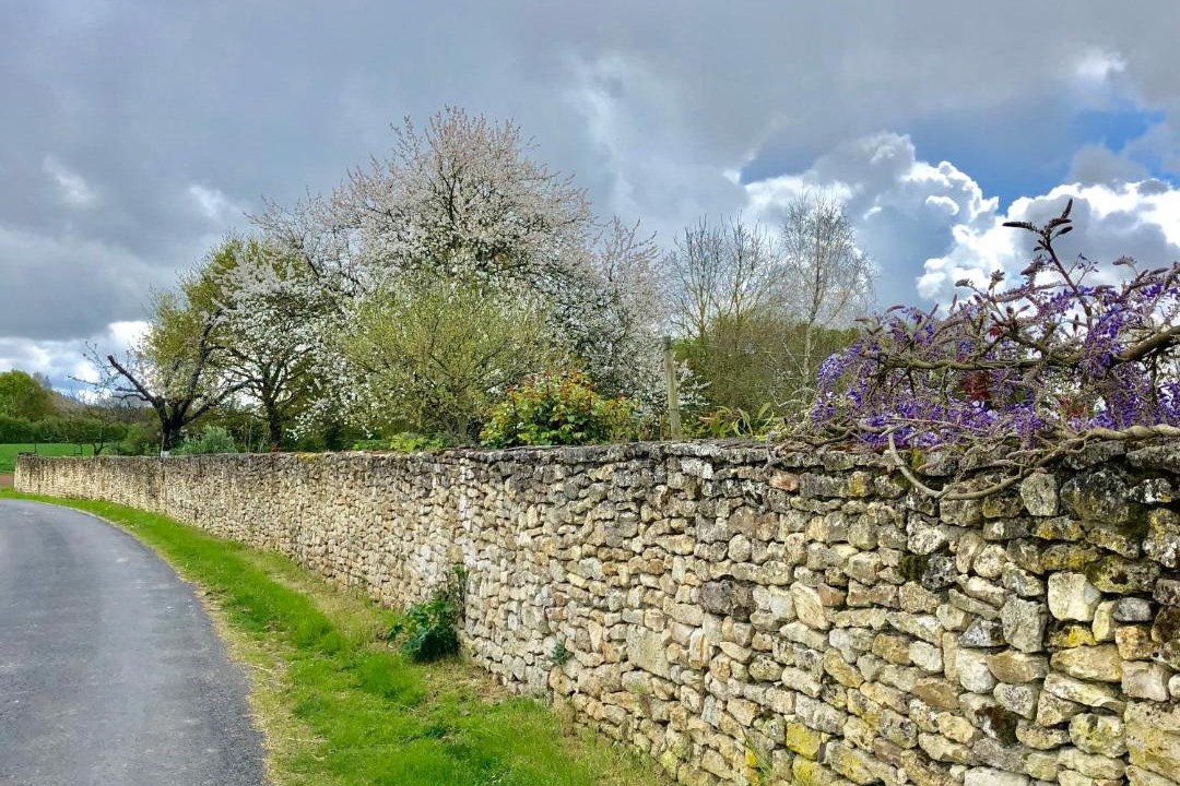 Photo of Others in Geay