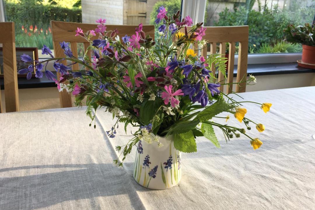 Photo of Others in Sticklepath