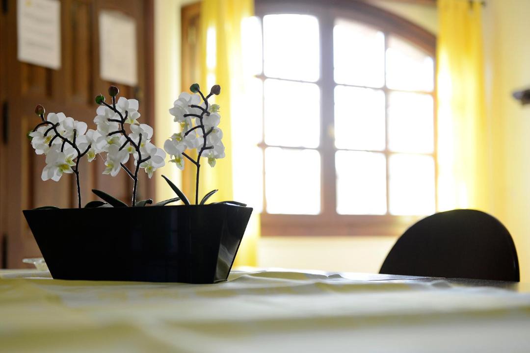 Photo of Others in Alquezar