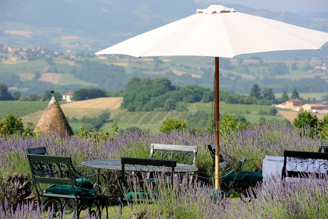 Photo of Others in Beaujolais Pierres Dorees