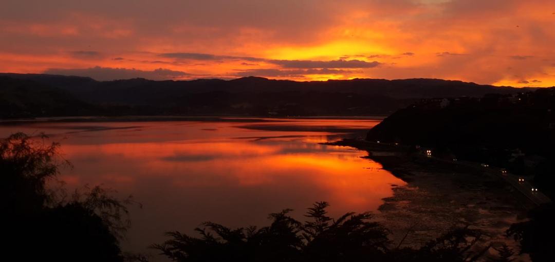 Photo of Others in Whitby