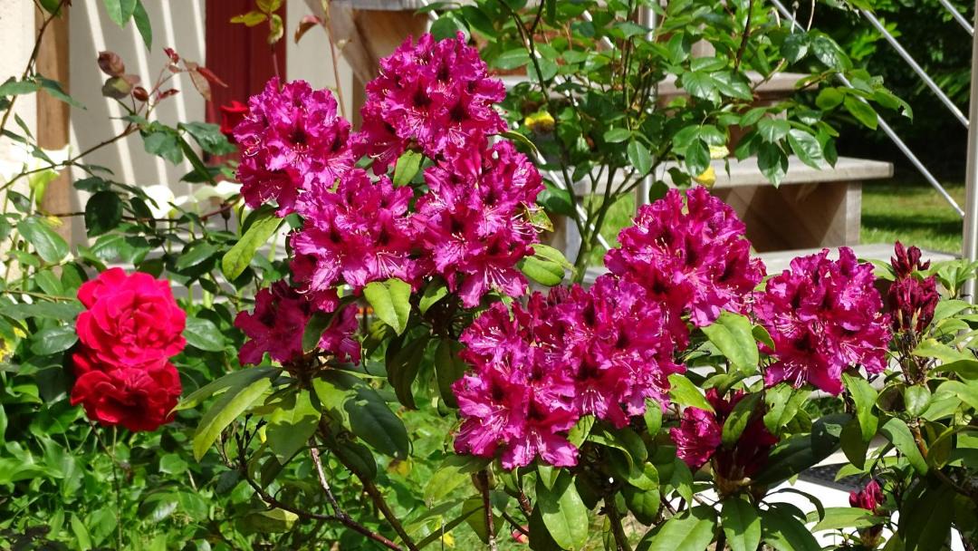 Photo of Others in La Bazoge