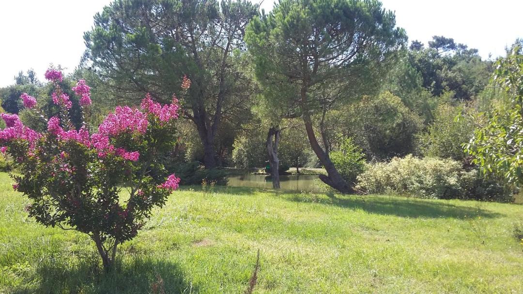 Photo of Others in Saint-Bonnet-sur-Gironde