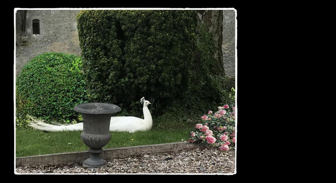 Photo of Others in Saint-Germain-de-Livet