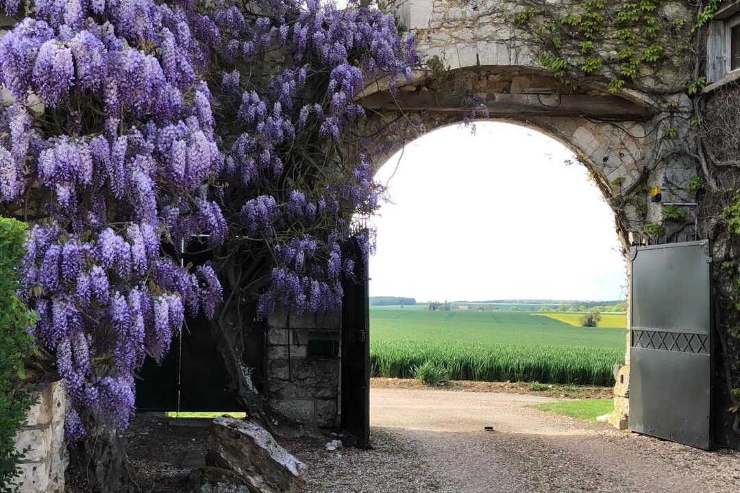 Photo of Others in Gauciel