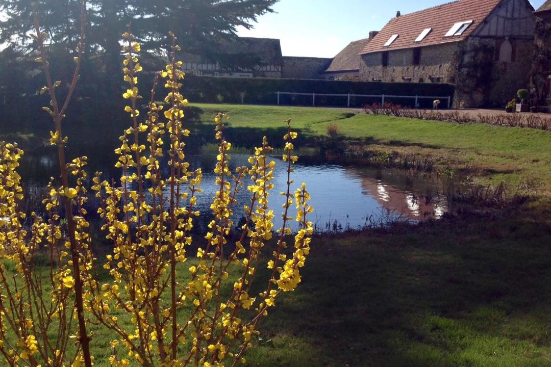 Photo of Others in Gauciel