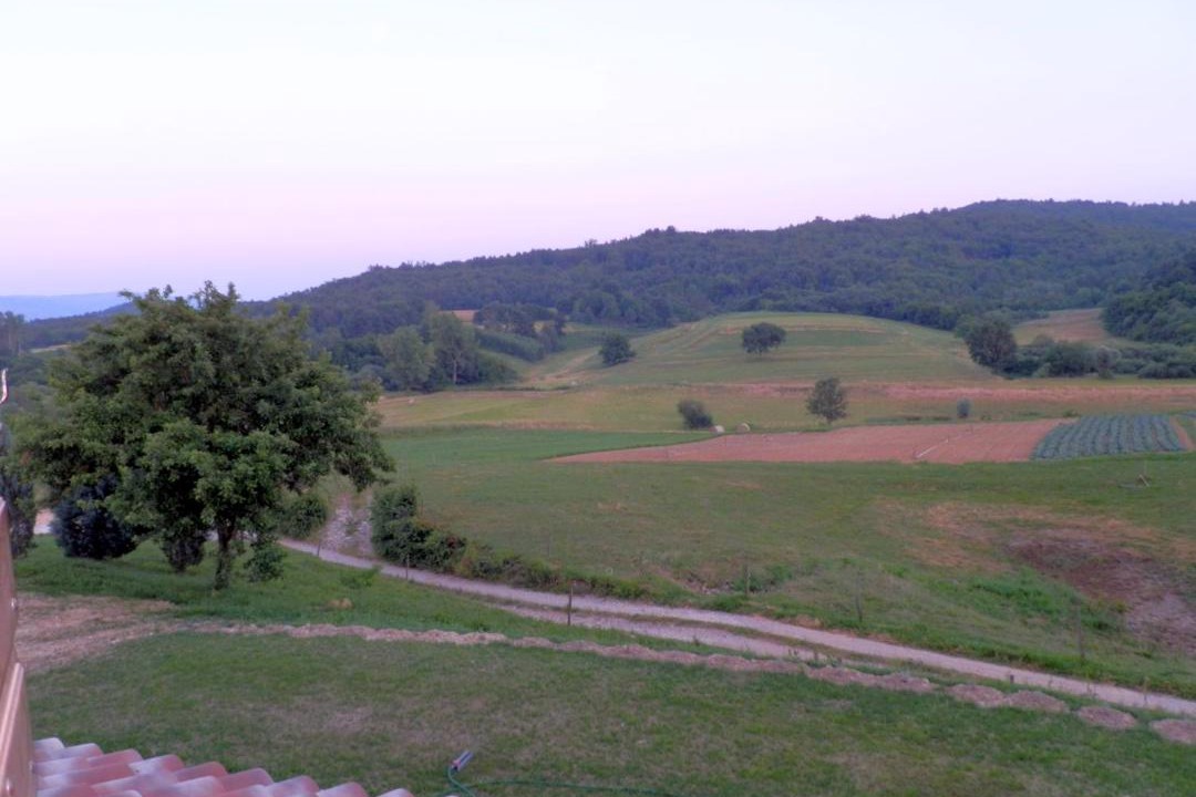 Photo of Others in Borut