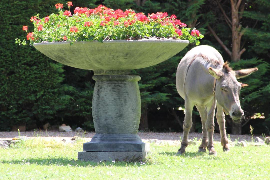 Photo of Others in Culhat