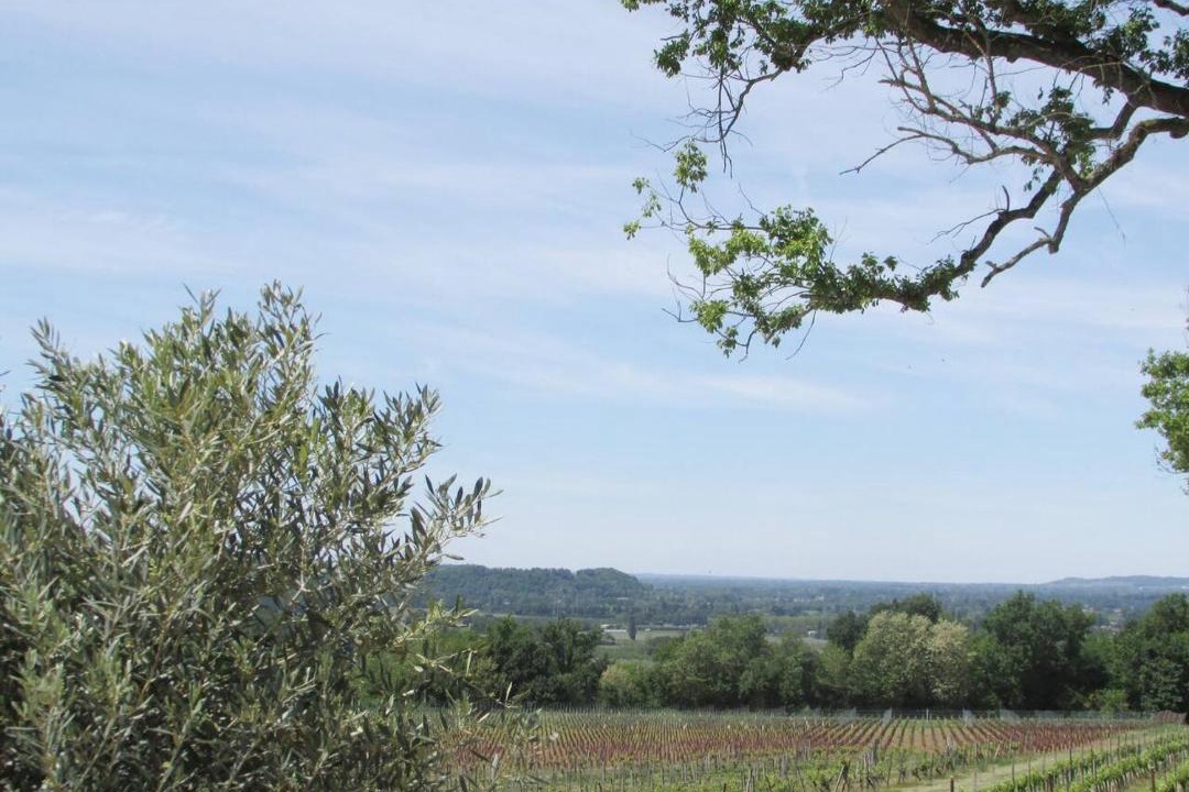 Photo of Others in Eynesse