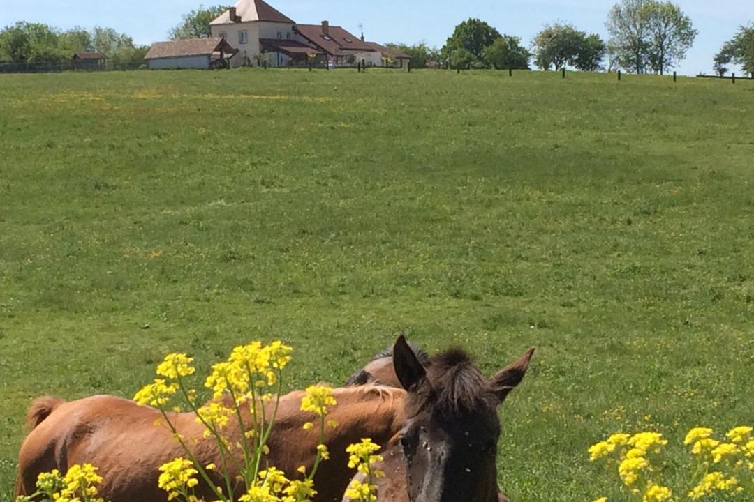 Photo of Others in Le Fied