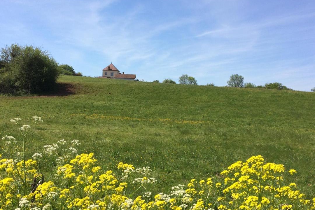 Photo of Others in Le Fied