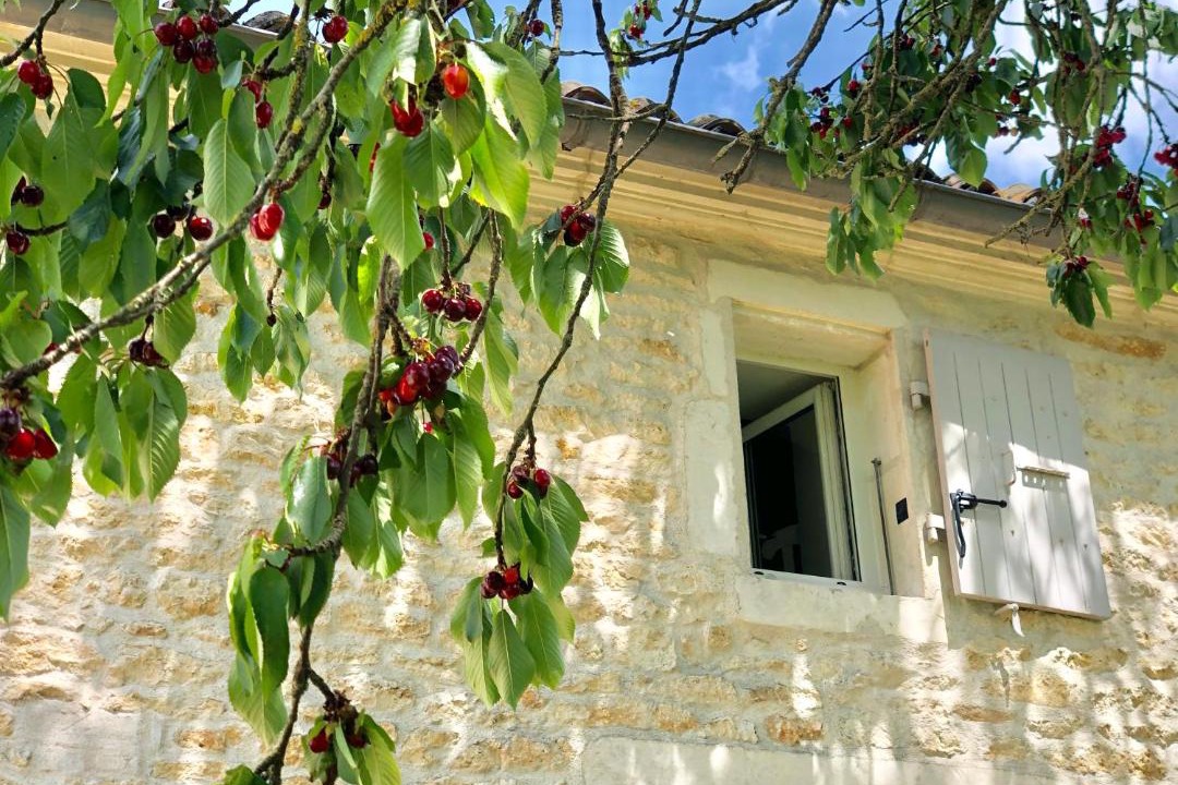 Photo of Others in Geay