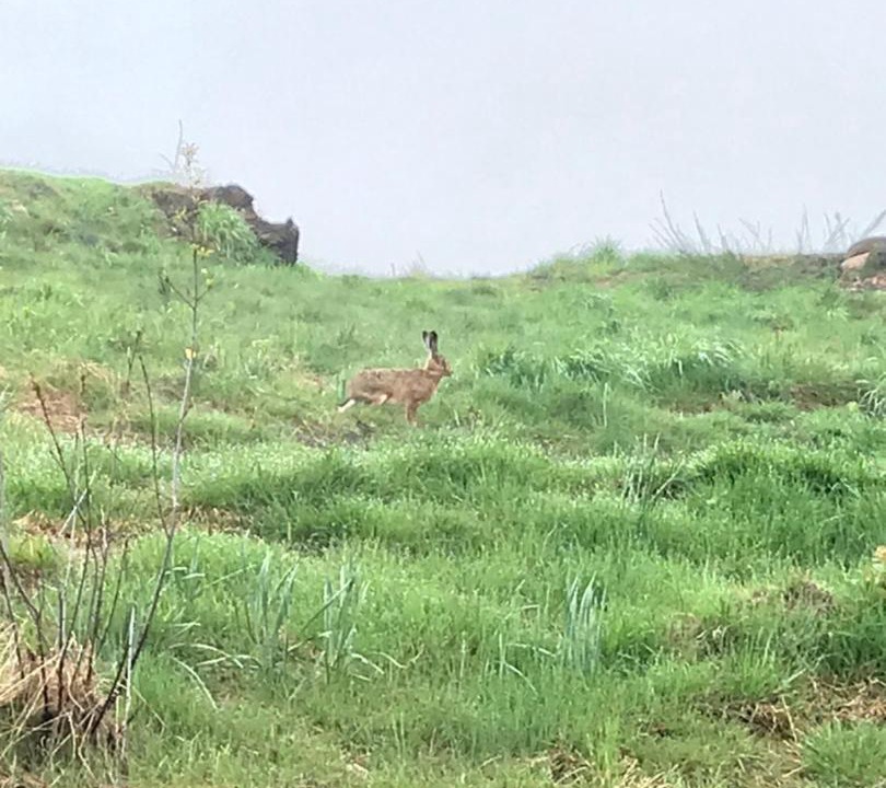 Photo of Outdoor in Gerardmer