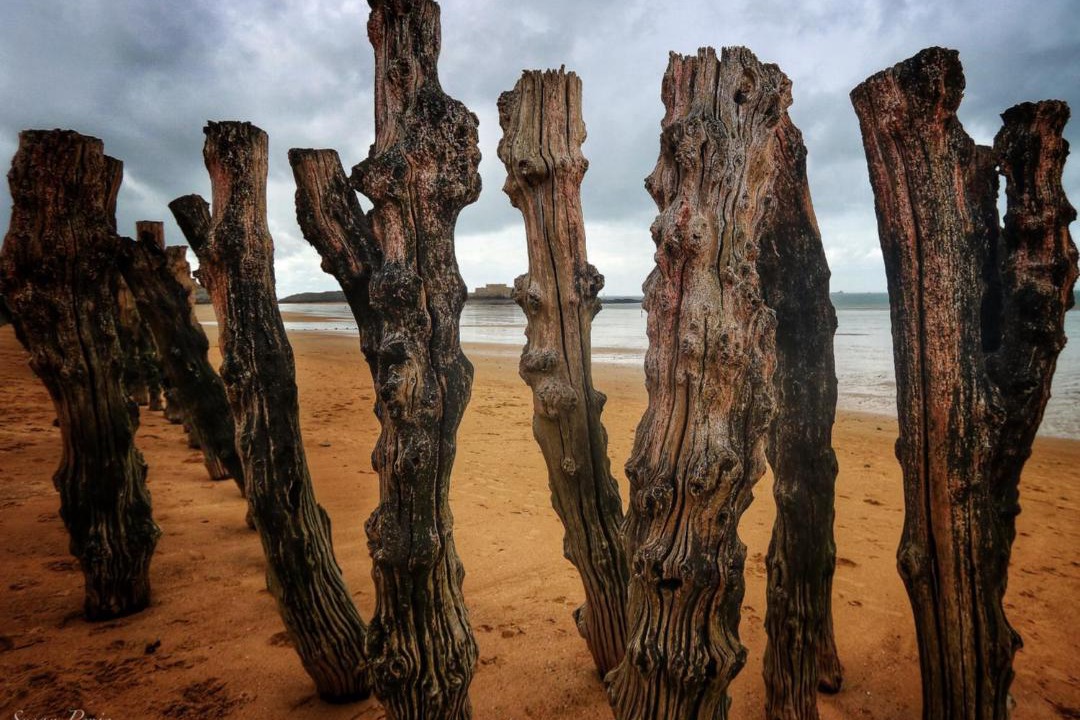 Photo of Others in Courtoisville-Sillon-Moka