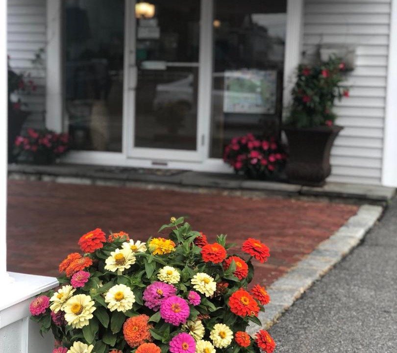 Photo of Others in Hyannis