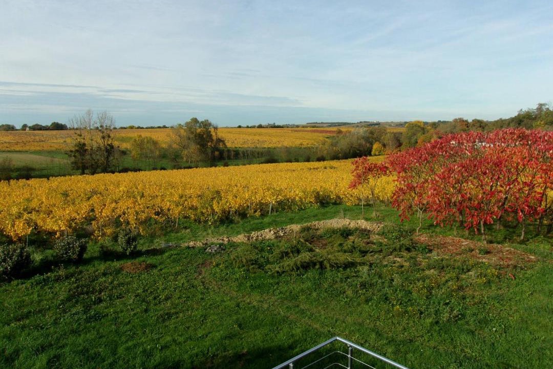 Photo of Others in Val-du-Layon