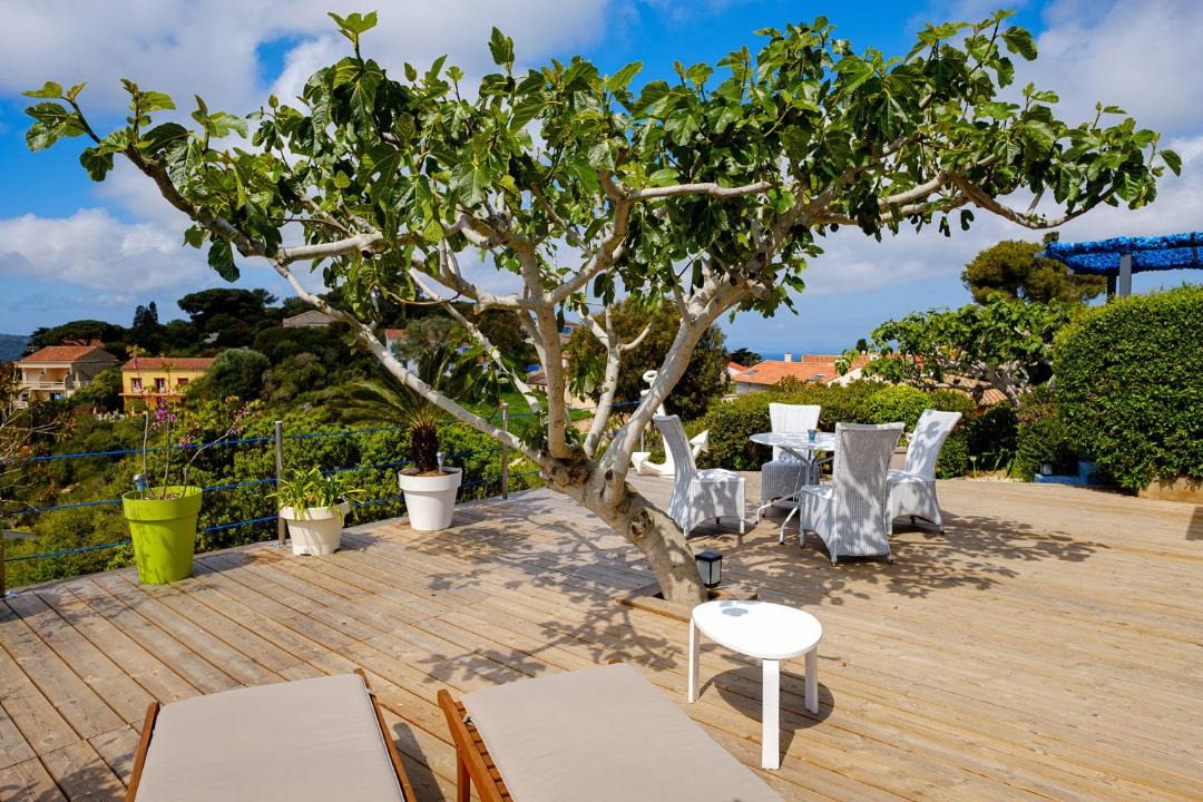 Photo of Others in Ile du Levant