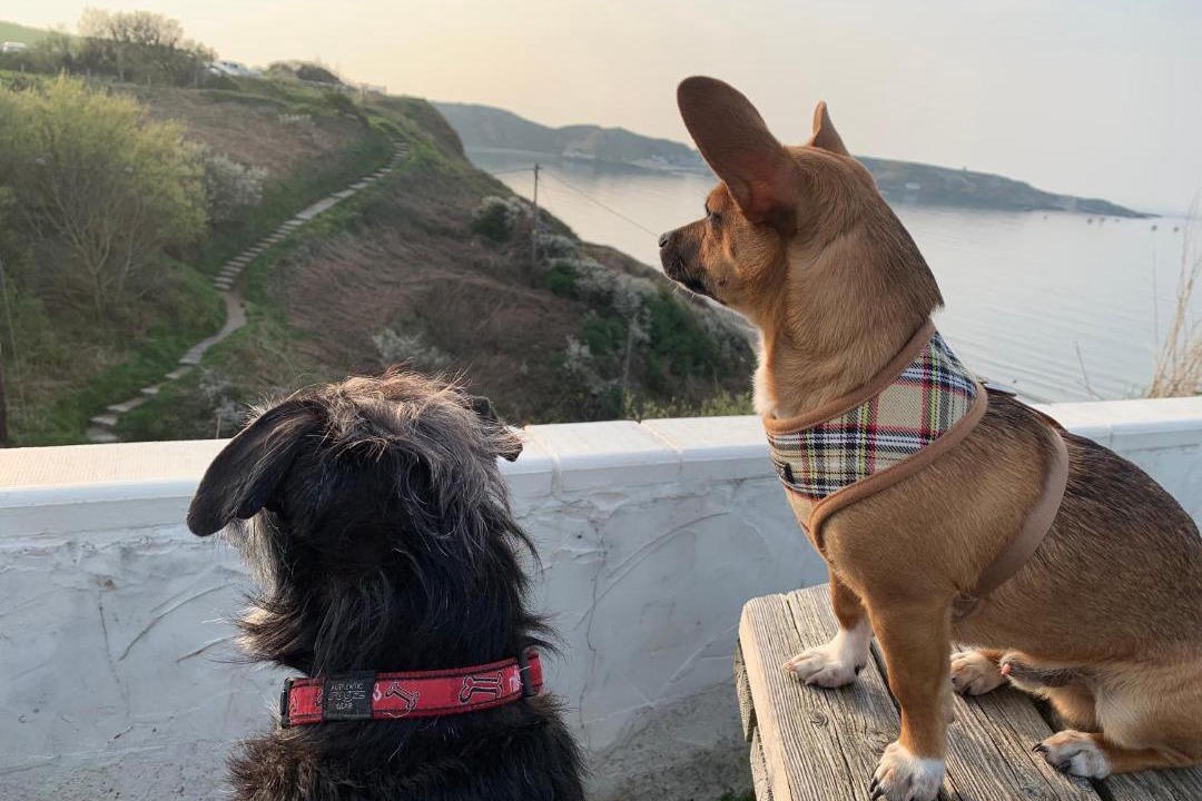 Photo of Others in Edern