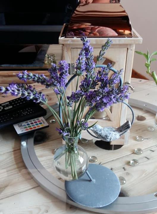 Photo of Others in Rugles