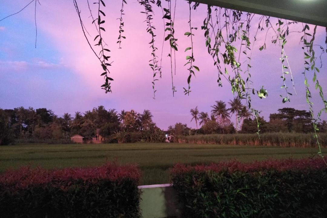 Photo of Others in Sewon