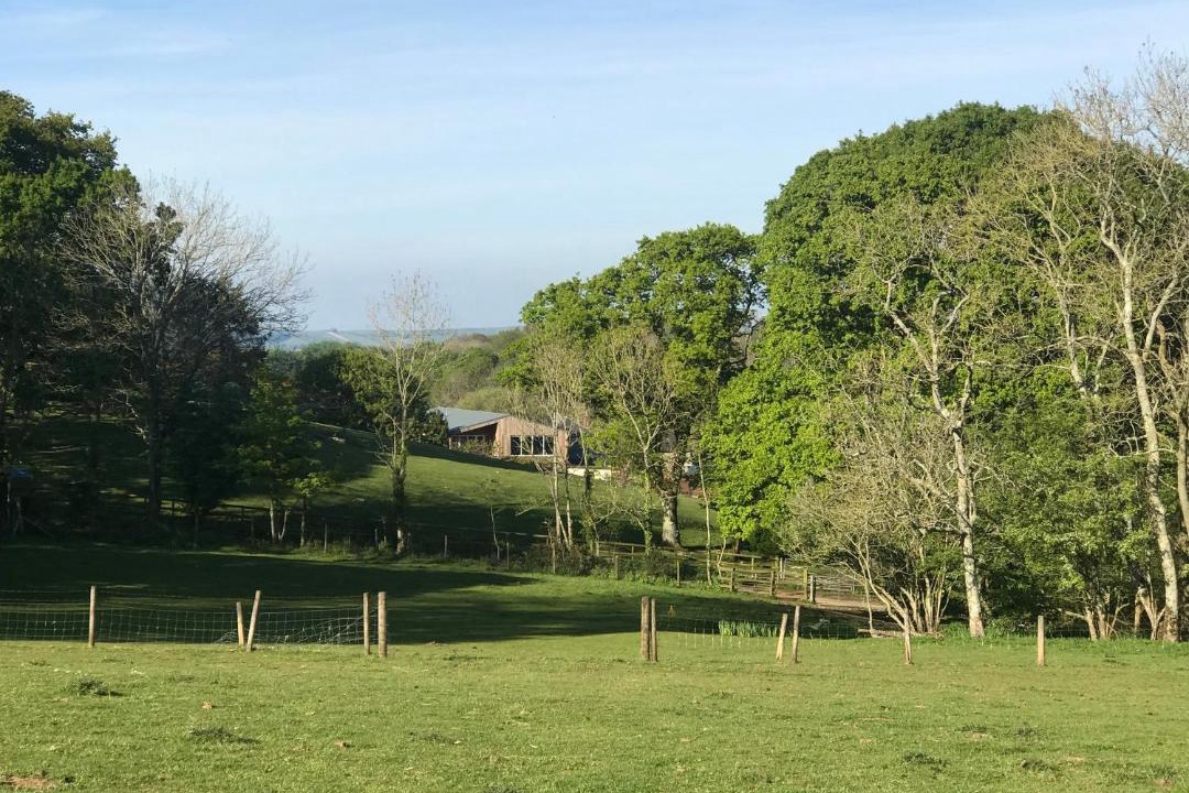 Photo of Others in Godshill