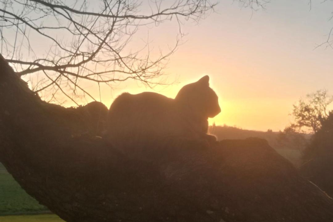 Photo of Others in Beraut