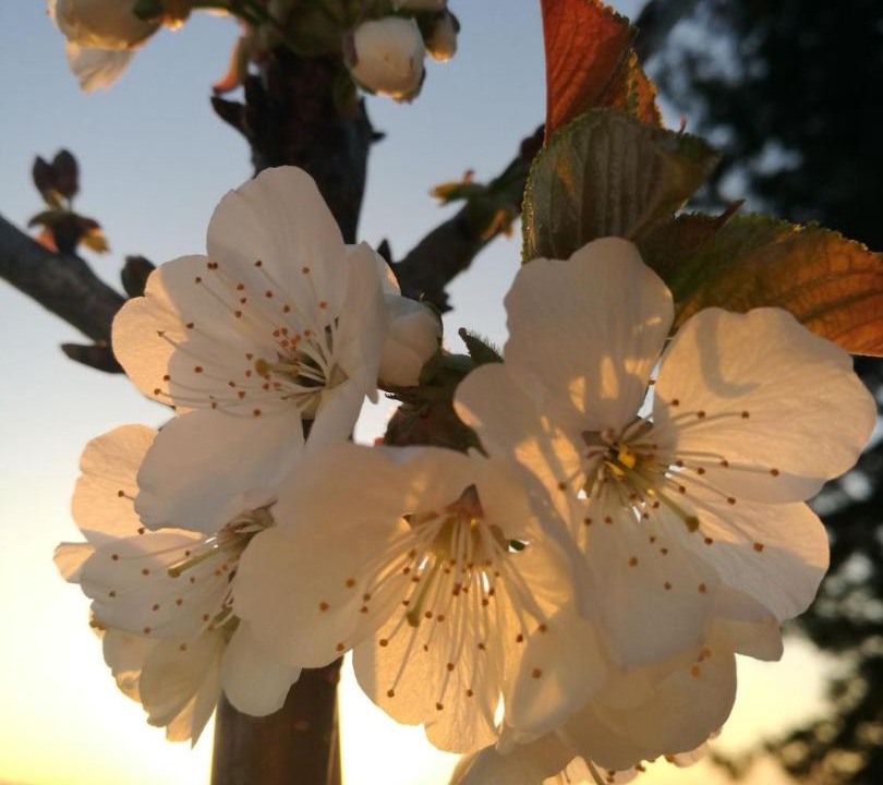 Photo of Others in Beraut