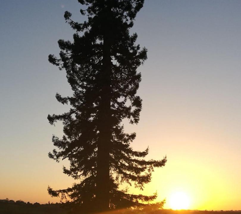 Photo of Others in Beraut