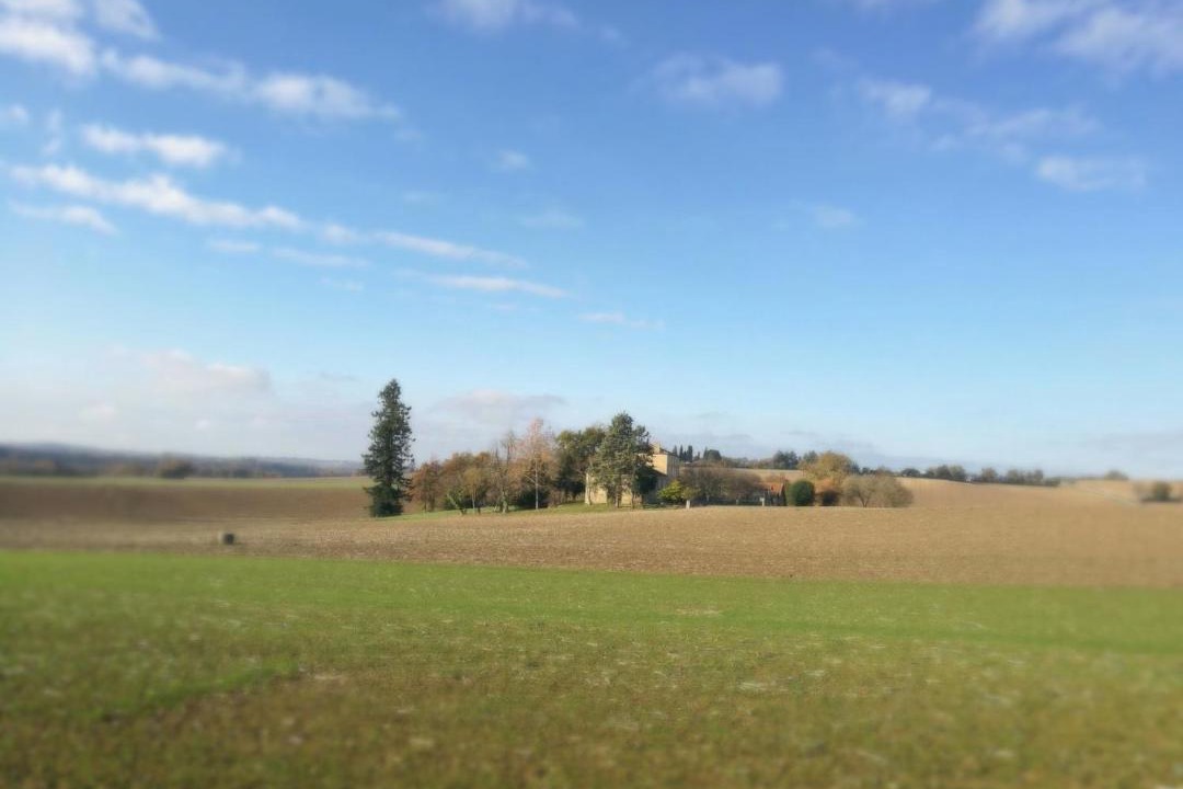 Photo of Others in Beraut