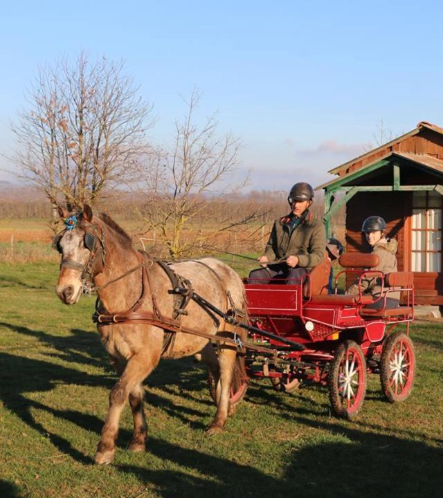 Photo of Others in Penol