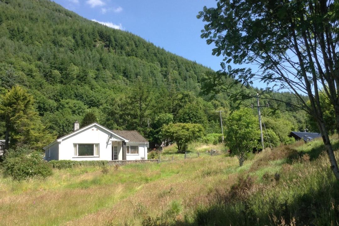 Photo of Others in Kyle