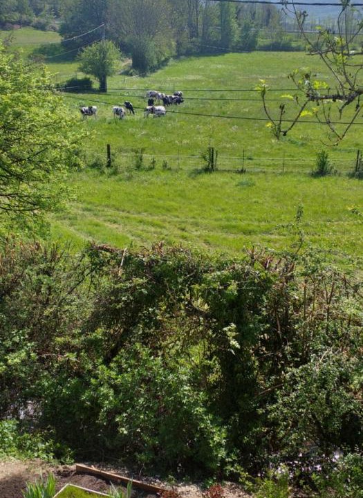 Photo of Outdoor in Saint-Martin-du-Frene